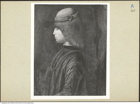 Vorderseite von bh248585_recto