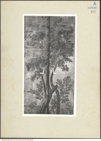 Vorderseite von bh248640_recto