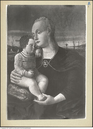 Vorderseite von bh248819_recto