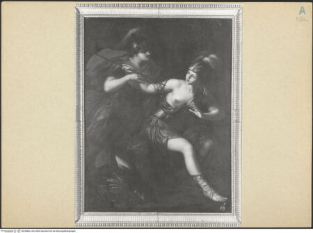 Vorderseite von bh248866_recto