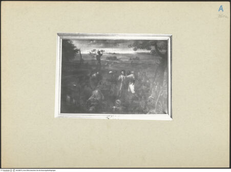 Vorderseite von bh248874_recto