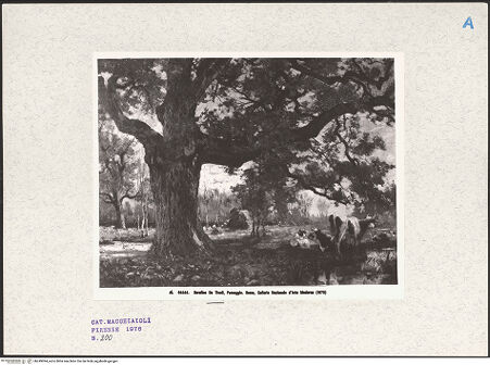 Vorderseite von bh249094_recto