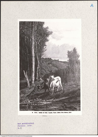 Vorderseite von bh249095_recto