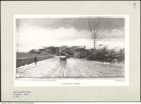 Vorderseite von bh249117_recto