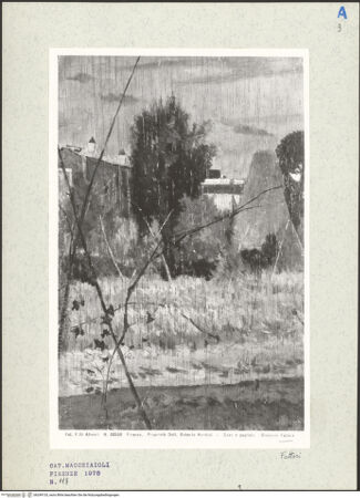 Vorderseite von bh249133_recto