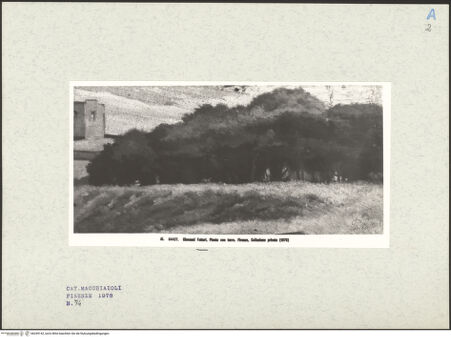 Vorderseite von bh249142_recto