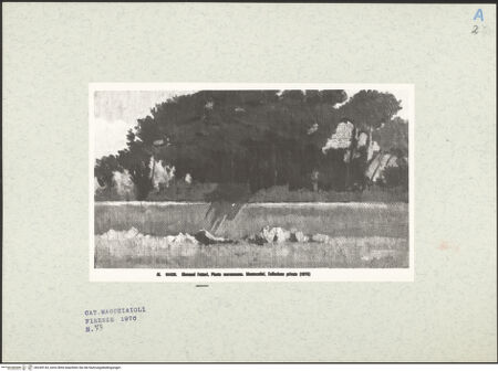 Vorderseite von bh249143_recto