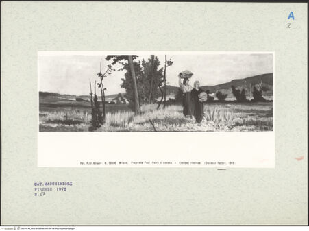 Vorderseite von bh249148_recto