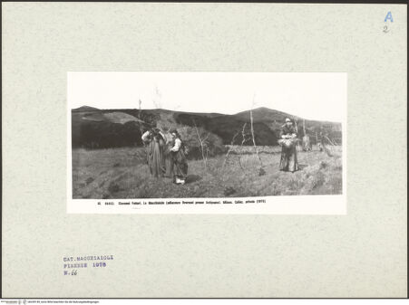 Vorderseite von bh249149_recto