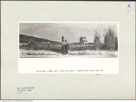 Vorderseite von bh249152_recto