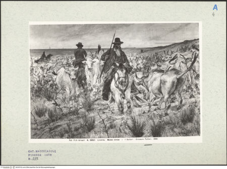 Vorderseite von bh249163_recto