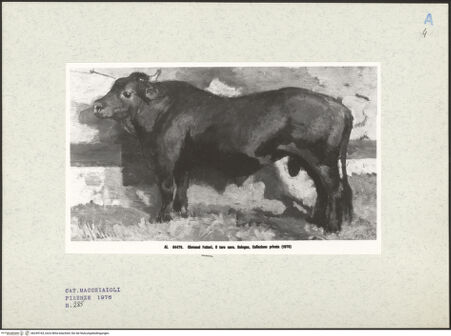 Vorderseite von bh249164_recto