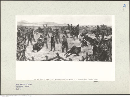 Vorderseite von bh249165_recto