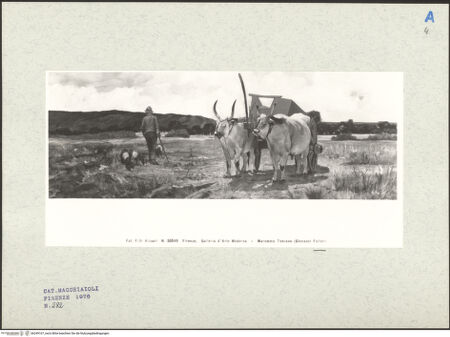 Vorderseite von bh249167_recto