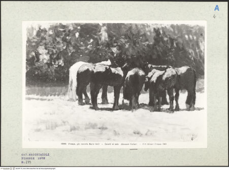 Vorderseite von bh249170_recto