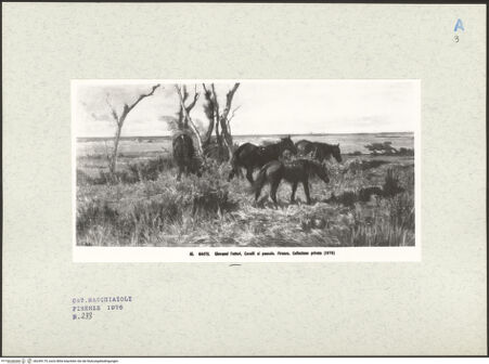 Vorderseite von bh249175_recto