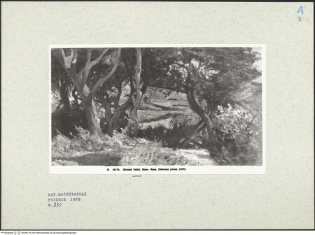 Vorderseite von bh249178_recto