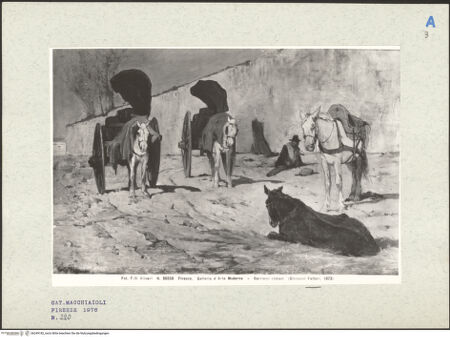 Vorderseite von bh249182_recto