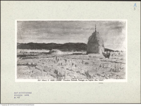 Vorderseite von bh249184_recto