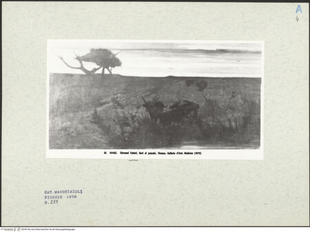 Vorderseite von bh249198_recto