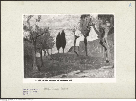 Vorderseite von bh249229_recto