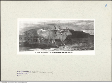 Vorderseite von bh249234_recto