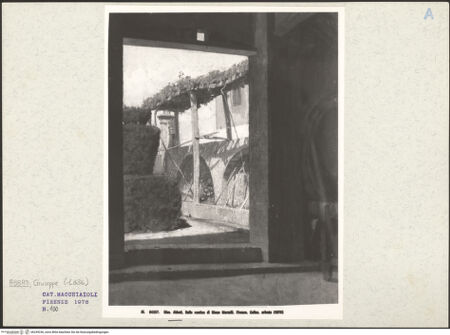 Vorderseite von bh249236_recto