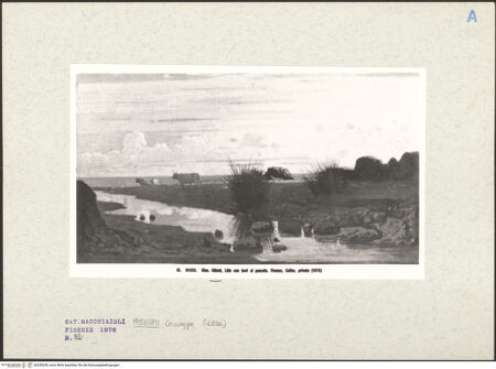 Vorderseite von bh249240_recto