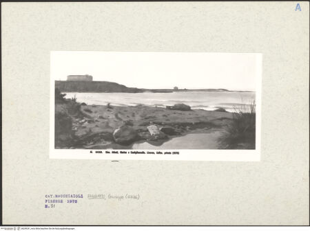 Vorderseite von bh249241_recto