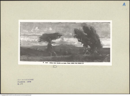 Vorderseite von bh249275_recto