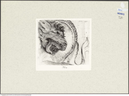 Vorderseite von bh249476_recto