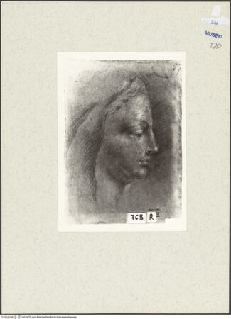 Vorderseite von bh249479_recto