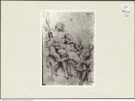 Vorderseite von bh249484_recto