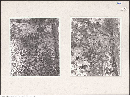 Vorderseite von bh249510_bh249511_recto