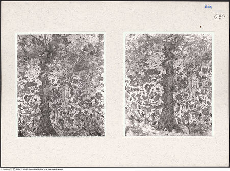 Vorderseite von bh249512_bh249513_recto