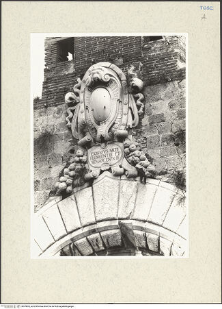 Vorderseite von bh249804_recto