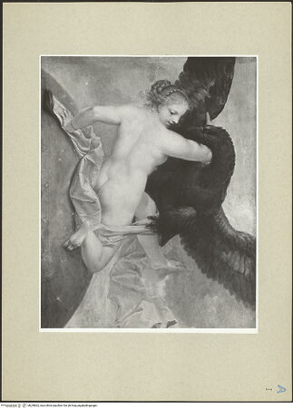 Vorderseite von bh249832_recto