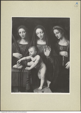 Vorderseite von bh249834_recto