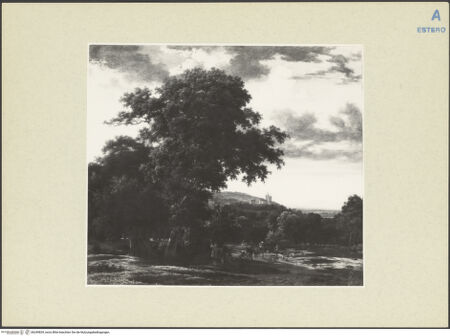 Vorderseite von bh249839_recto