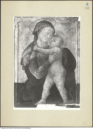 Vorderseite von bh249845_recto