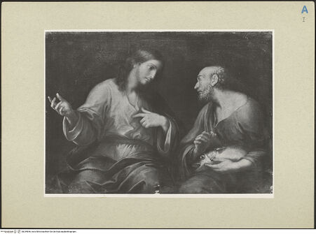 Vorderseite von bh249846_recto