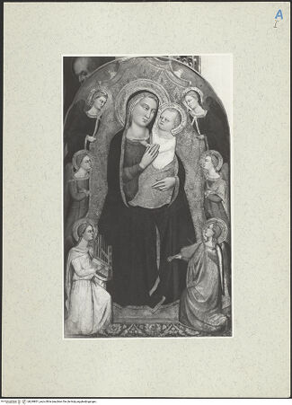 Vorderseite von bh249851_recto