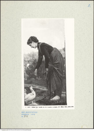 Vorderseite von bh251280_recto