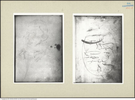 Vorderseite von bh252486_bh252487_recto