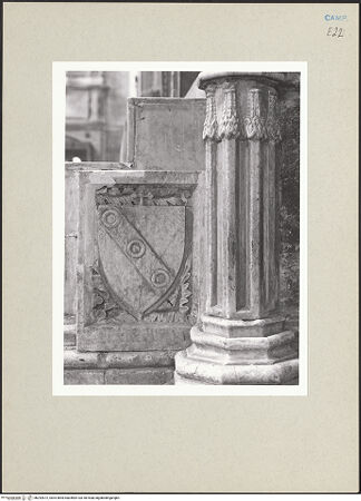 Vorderseite von Courtauld Institute of Art [https://www.deutsche-digitale-bibliothek.de/content/lizenzen/rv-ez/] Kathedra - Detail: Sockel mit Wappen (rechts), bh252672_recto. Foto.