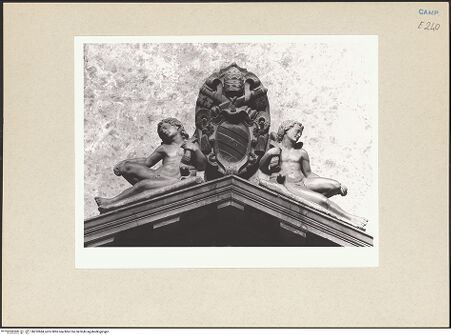 Vorderseite von Courtauld Institute of Art [https://www.deutsche-digitale-bibliothek.de/content/lizenzen/rv-ez/] Grabmal des Kardinal Alfonso Carafa (gest. 1565) - Detail: Wappen, bh252684_recto. Foto.