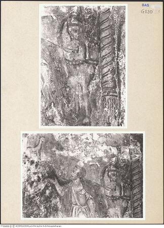 Vorderseite von bh252893_bh252894_recto