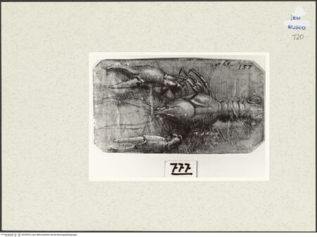 Vorderseite von bh252923_recto