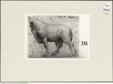 Vorderseite von bh252929_recto