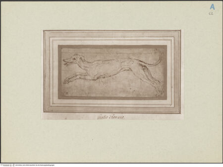 Vorderseite von bh253064_recto